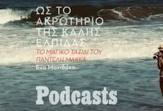 Ο Παντελής Μάκκας σε ένα hostel της Νότιας Αφρικής, με κατοικίδιες ζέβρες