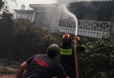 Σε πύρινο κλοιό η χώρα: 45 φωτιές μέσα σε 24 ώρες - Εικόνες καταστροφής από τη Σταμάτα