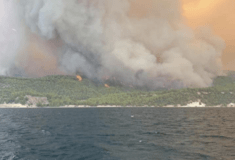 Πυρκαγιές στην Εύβοια: Το λιμενικό απεγκλωβίζει κατοίκους από παραλία - Καίγονται σπίτια