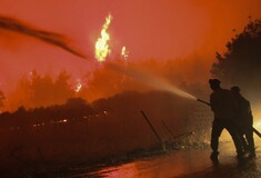 Ολονύχτια μάχη με τις φωτιές σε Αρχαία Ολυμπία, Βόρεια Εύβοια και Μεσσηνία - Εικόνες από τα μέτωπα