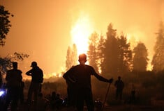 Συγκλονιστικές μάχες με την φωτιά στην Εύβοια: Νεότεροι μένουν πίσω για να υπερασπιστούν τα σπίτια