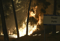 Ανεξέλεγκτη η φωτιά στη Βόρεια Εύβοια: Κάτοικοι κόβουν με αλυσοπρίονα δέντρα- «Θα καούμε» λέει ο δήμαρχος Ιστιαίας