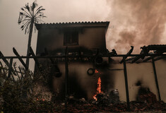 Φωτιά στην Εύβοια - Αντιδήμαρχος Μαντουδίου: «1.000 τα καμένα σπίτια μόνο στο δήμο μας»