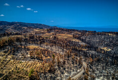 Η απόλυτη καταστροφή της Βόρειας Εύβοιας: Εναέριες φωτογραφίες από ό,τι άφησε πίσω της η φωτιά
