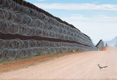 Image of bird at US-Mexico border wall wins contest