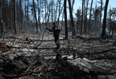 Εθνικό Αστεροσκοπείο: Το 16% των δασών της Αττικής καταστράφηκε 