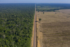Αυτόχθονες ζητούν «για πρώτη φορά επισήμως» την προστασία της Αμαζονίας 