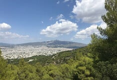 H Αττικό Μετρό απαντά στο Παρατηρητήριο Αστικού Πρασίνου για τα δέντρα που θα κοπούν