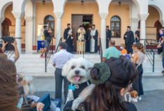 Κυριακάτικος εκκλησιασμός και επίσημη ευλογία για τα ζώα συντροφιάς στην Κύπρο