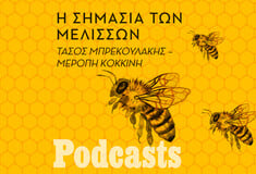 ΤΕΤΑΡΤΗ 03/11- ΕΧΕΙ ΠΡΟΓΡΑΜΜΑΣΤΕΙ-Γιατί χάνονται οι μέλισσες;