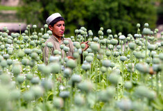 Οι Ταλιμπάν δεν σταματούν τους εμπόρους ναρκωτικών