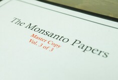 Κινέζος επιστήμονας ομολόγησε ότι έκλεψε εμπορικά μυστικά της από την Monsanto
