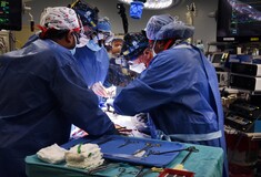 Μεταμόσχευση καρδιάς σε 57χρονο, από γενετικά τροποποιημένο χοίρο- Για πρώτη φορά