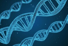 Ένα απλό τεστ DNA θα μπορούσε να εντοπίσει συχνές νευρολογικές παθήσεις