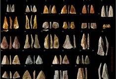 Η ανακάλυψη του αρχαίου βρεφικού δοντιού τοποθετεί τους ανθρώπους στην Ευρώπη 10.000 χρόνια νωρίτερα