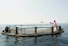 Η Λάρα Μπαράζι-Γερουλάνου πιστεύει ότι η βιώσιμη ιχθυοκαλλιέργεια μπορεί να παίξει σημαντικό ρόλο στην εξασφάλιση τροφής στο μέλλον! 