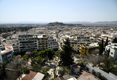 Η απάντηση του Δήμου Αθηναίων για το κλάδεμα των δέντρων: «Τα φροντίζουμε με επιστημονική γνώση»