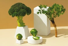 Βιολογικό χωριό: «Αλλάζουμε τον κόσμο από τη ρίζα»