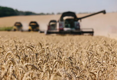 Ρωσία: Για την άνοδο της τιμής των σιτηρών και την επαπειλούμενη επισιτιστική κρίση «φταίνε τα δυτικά καθεστώτα»