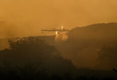 Αδιάκοπη μάχη με τις φλόγες στον Έβρο, συνεχείς αναζωπυρώσεις και νέες εκκενώσεις στη Λέσβο