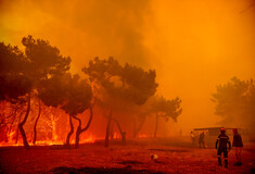 Δύσκολη η κατάσταση στη φωτιά στη Λέσβο - Εκκενώνεται το χωριό Βρίσα