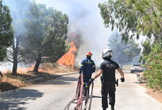 Οι δραματικοί διάλογοι των αστυνομικών στην Πεντέλη με την ΓΑΔΑ: «Αποχωρούμε γιατί θα πεθάνουμε»