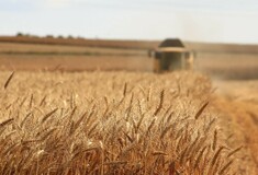 Τουρκία: Έφτασε το πρώτο φορτίο με ουκρανικά σιτηρά