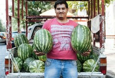 Συνομιλώντας με έναν πλανόδιο πωλητή καρπουζιών