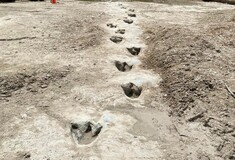 Dinosaur tracks from 113M years ago have become visible amid drought