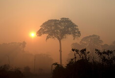 Βραζιλία: Σε ρεκόρ 15ετίας έφτασαν οι πυρκαγιές στον Αμαζόνιο- 3.358 εστίες τη Δευτέρα