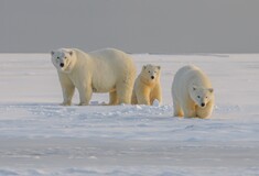 Οι ΗΠΑ δημιουργούν θέση πρεσβευτή για την Αρκτική