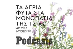 Χαρτογραφώντας τα φυτά που μεγαλώνουν άγρια στα μονοπάτια της Τζιας 