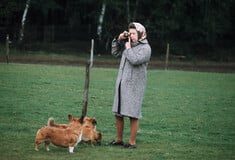 Where Queen Elizabeth’s beloved dogs and horses will go after her death