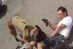 ΗΠΑ: Αστυνομικοί σκότωσαν ύποπτο που σημάδεψε με όπλο το κεφάλι αστυνομικού σκύλου