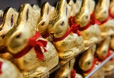 Lidl told to destroy gold chocolate bunnies after it loses copyright case with Lindt