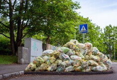 Δραματική σπατάλη τροφίμων: Το 2020, κάθε κάτοικος της ΕΕ πέταξε στα σκουπίδια 127 κιλά φαγητού 