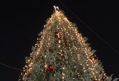 Φωταγωγήθηκε το πρώτο χριστουγεννιάτικο δέντρο στη χώρα