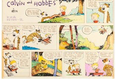 Calvin & Hobbes