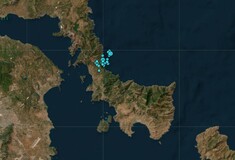 Εύβοια: Δεν είναι ακόμη βέβαιο πως τα 5 Ρίχτερ ήταν ο κύριος σεισμός, λέει ο Γεράσιμος Παπαδόπουλος