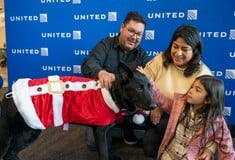 This dog was abandoned at the San Francisco airport. Then a pilot adopted him