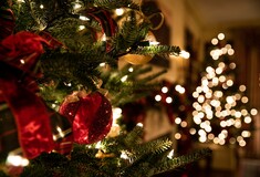 Τα «χρησιμοποιημένα» χριστουγεννιάτικα δέντρα μπορούν να χρησιμεύσουν ως οικολογικά χημικά