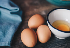 Ξεχάστε τα κουτάβια της καραντίνας -Τώρα, οι Αμερικανοί αγοράζουν κότες επειδή ακρίβυναν τα αυγά
