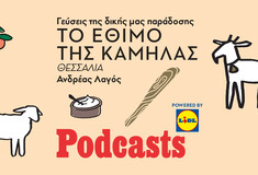 To έθιμο της Καμήλας