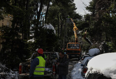 ΔΕΔΔΗΕ: Σε ποιες περιοχές εντοπίζονται διακοπές ρεύματος λόγω της κακοκαιρίας Barbara