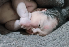 Σεισμός Συρία: Γέννησε στα ερείπια-Νεκρή η μάνα, έζησε το μωρό 