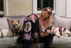 Lady Gaga: Μήνυση από συνεργό στην κλοπή των σκύλο της- Ζητά αποζημίωση 1,5 εκατ. $