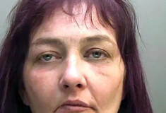 Γυναίκα σκότωσε και έφαγε το χάμστερ της κόρης της- 12 μήνες ποινή φυλάκισης