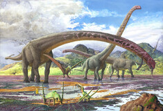 Ο δεινόσαυρος που ο λαιμός του ξεπερνούσε τα 15 μέτρα