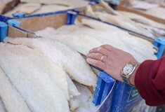 Μπακαλιάρος: Πώς ξεχωρίζει από το λινγκ- Τι να προσέξουμε στην αγορά του 