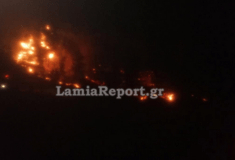 Φθιώτιδα: Σε εξέλιξη η μεγάλη φωτιά – Μάχη με τις φλόγες δίνουν οι πυροσβέστες